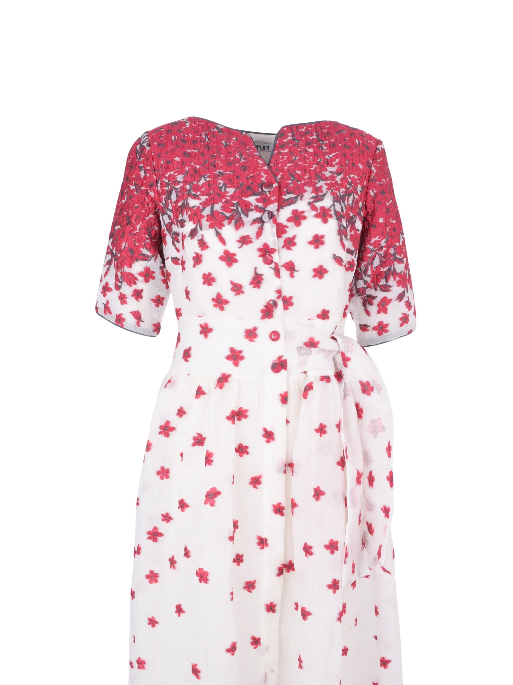 Lobelia dress red