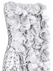Silver sequenced skirt