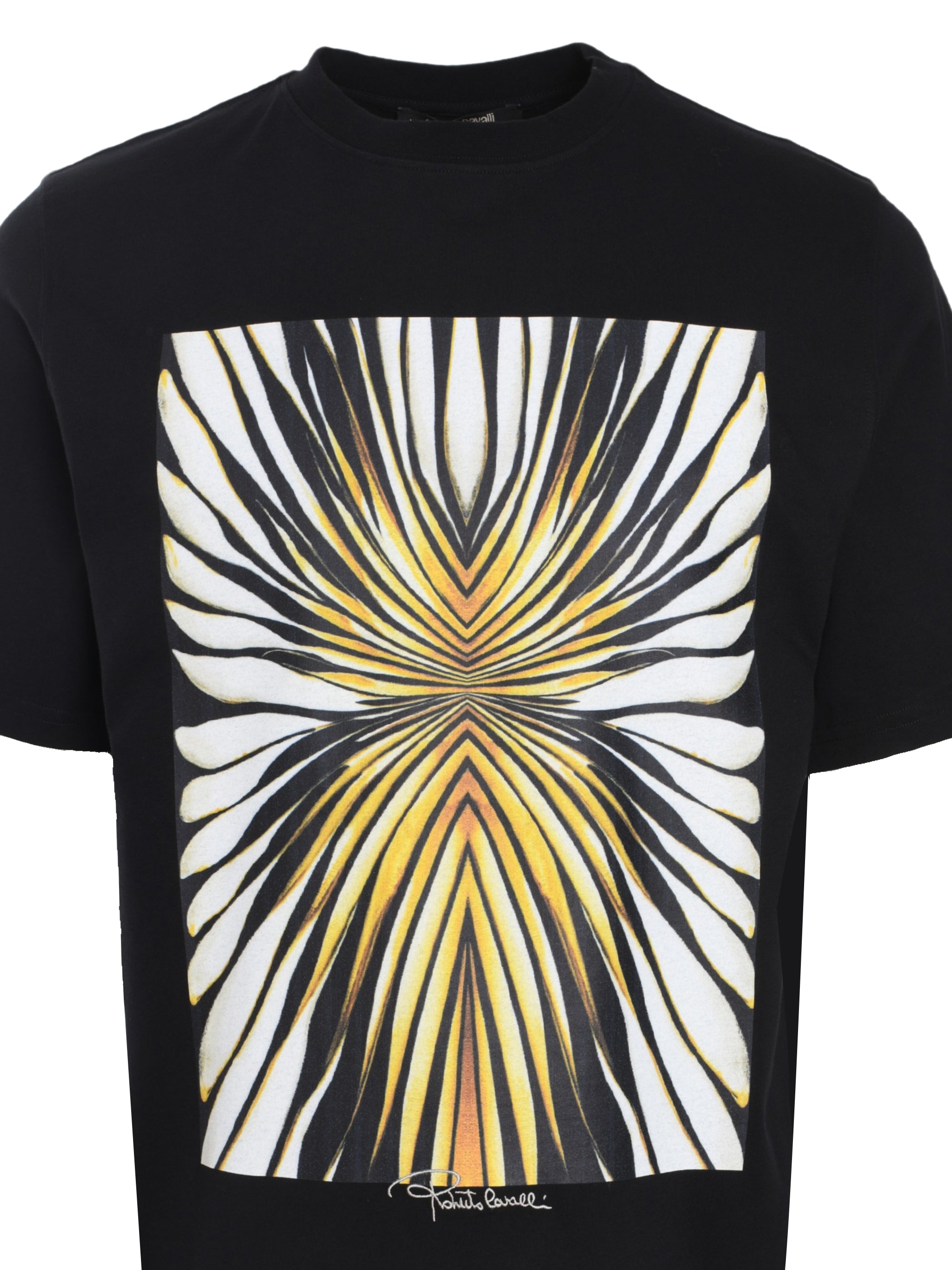 RAY OF GOLD PRINT PLACED REGUL