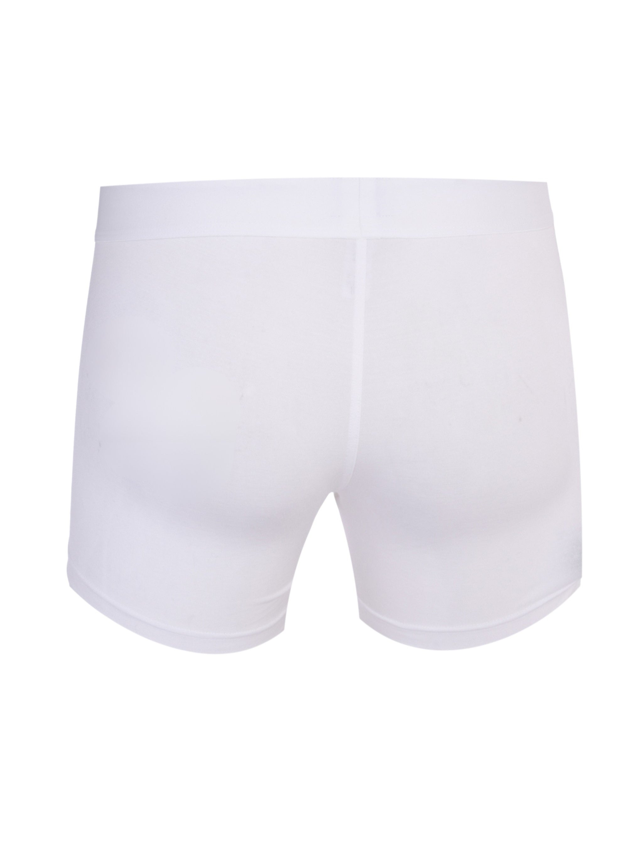 Pureness Boxer Briefs / Trunk