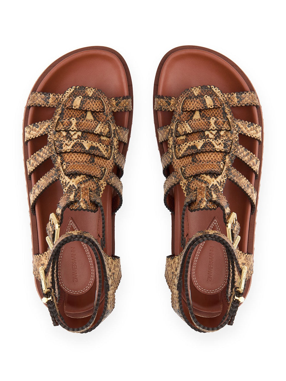 Goldie gladiator