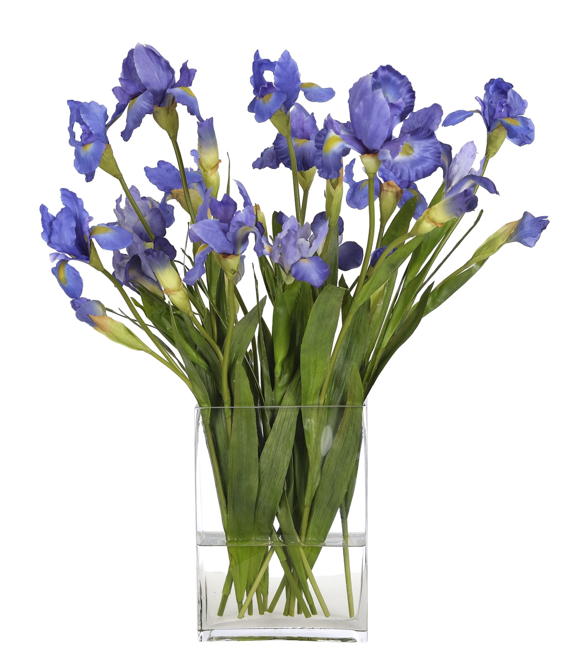 IRIS, BLUE, GLASS RECTANGLE VASE