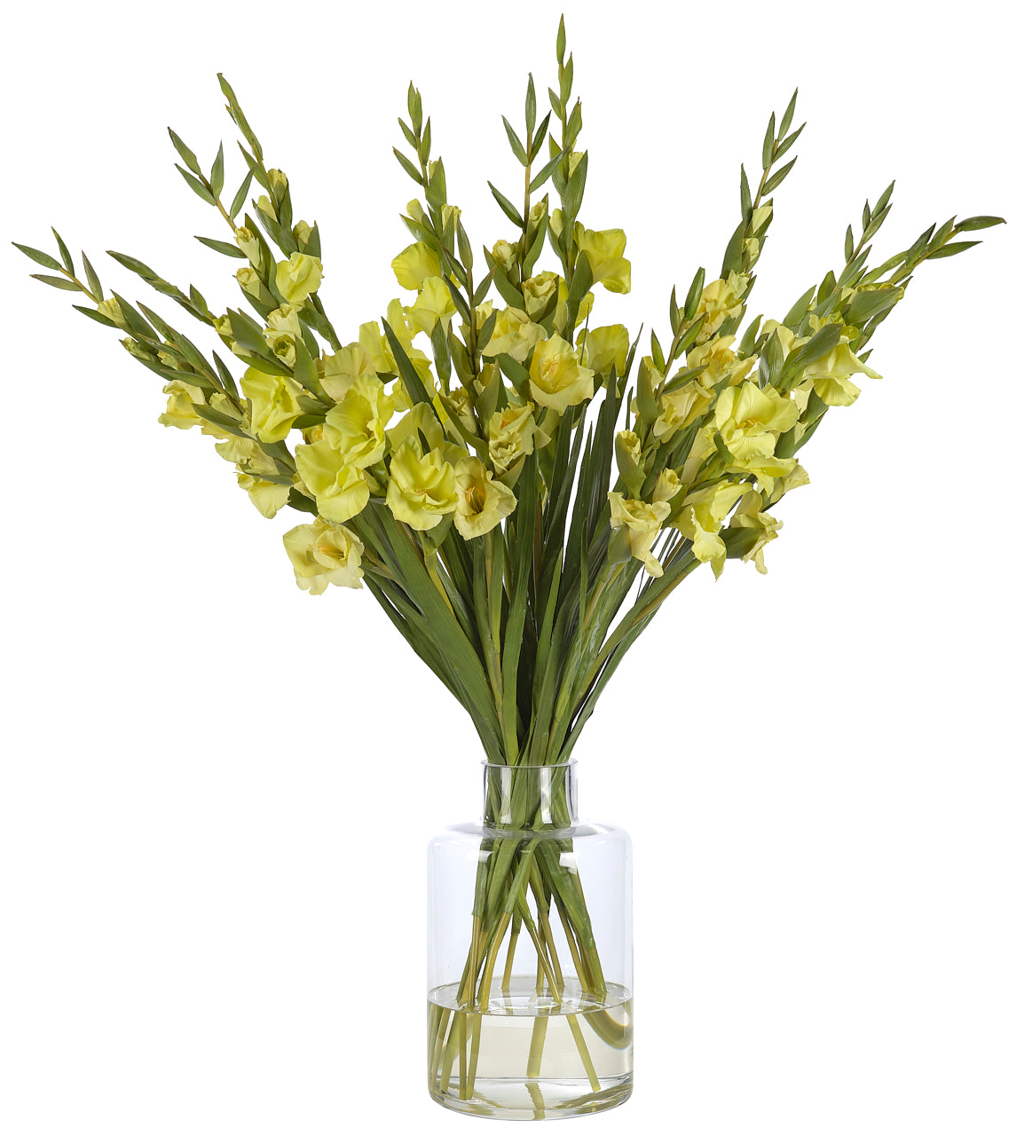 GLADIOLA, GREEN, GLASS VASE