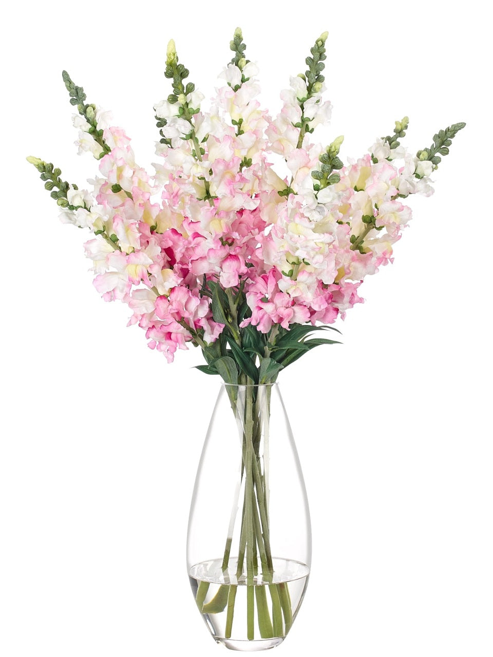 Snapdragon, pink cream, glass vase