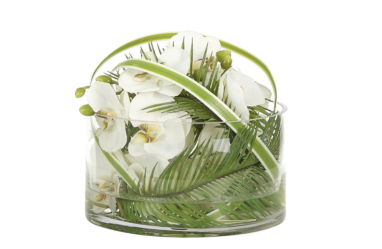 ORCHID PHALAENOPSIS, WHITE, GLASS BOWL