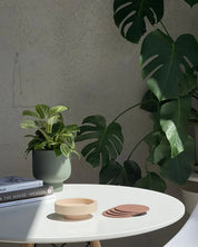 Ciss | coasters in sustainable silicone | pretoria