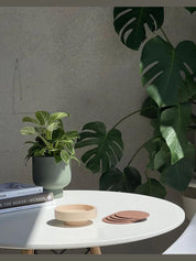 Ciss | coasters in sustainable silicone | pretoria