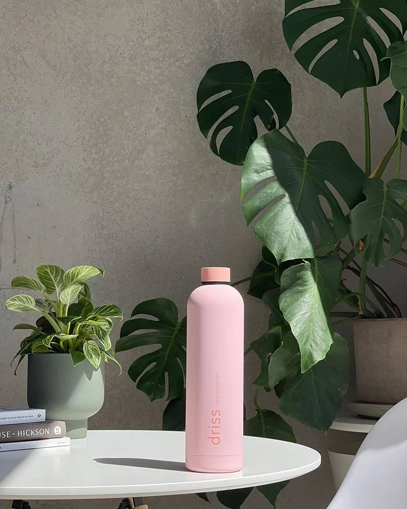 Driss | insulated stainless steel bottle | matsumoto