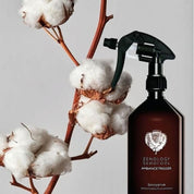 GOSSYPIUM (Cotton Flower)