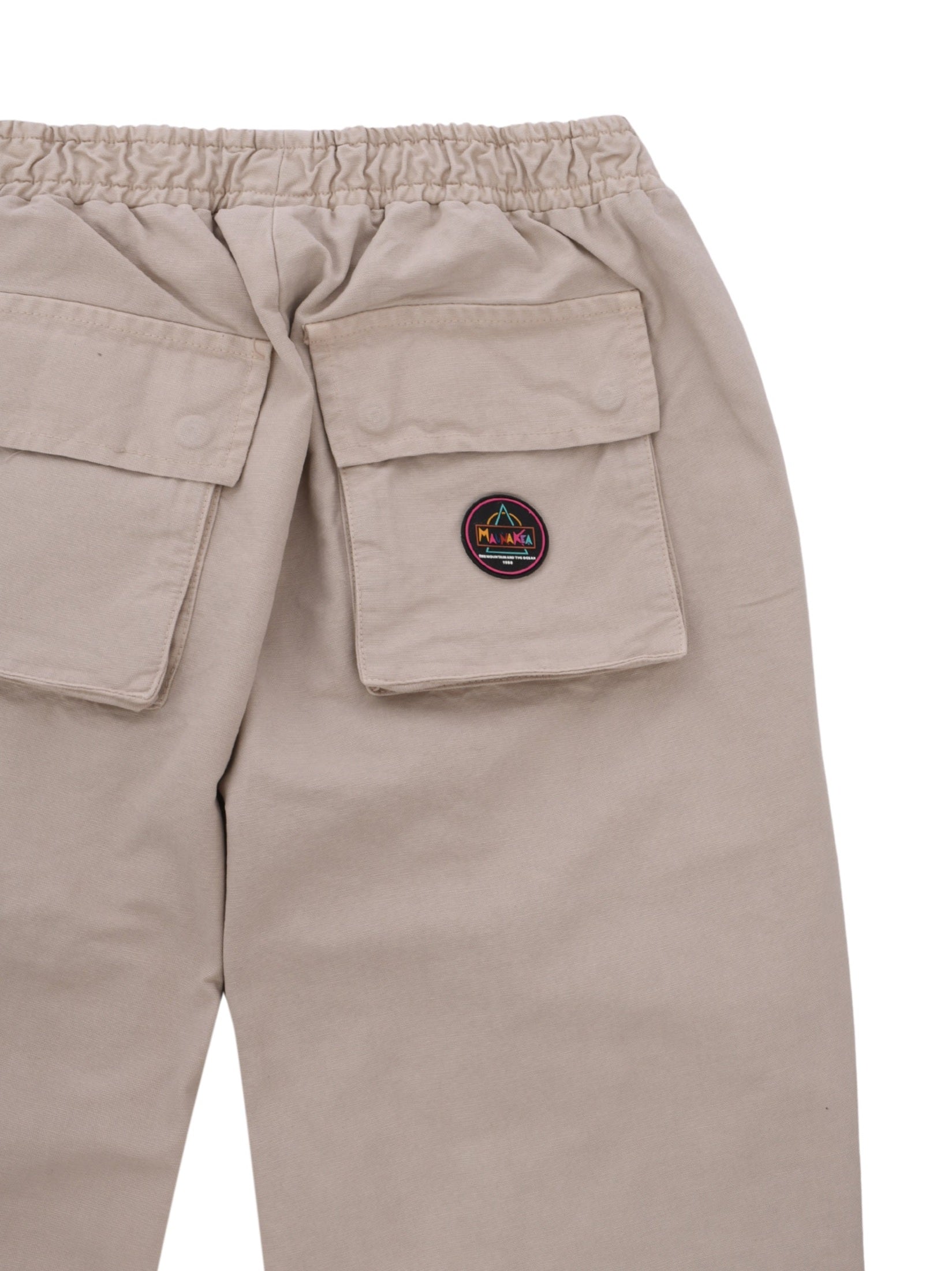 Cotton canvas jogger pant
