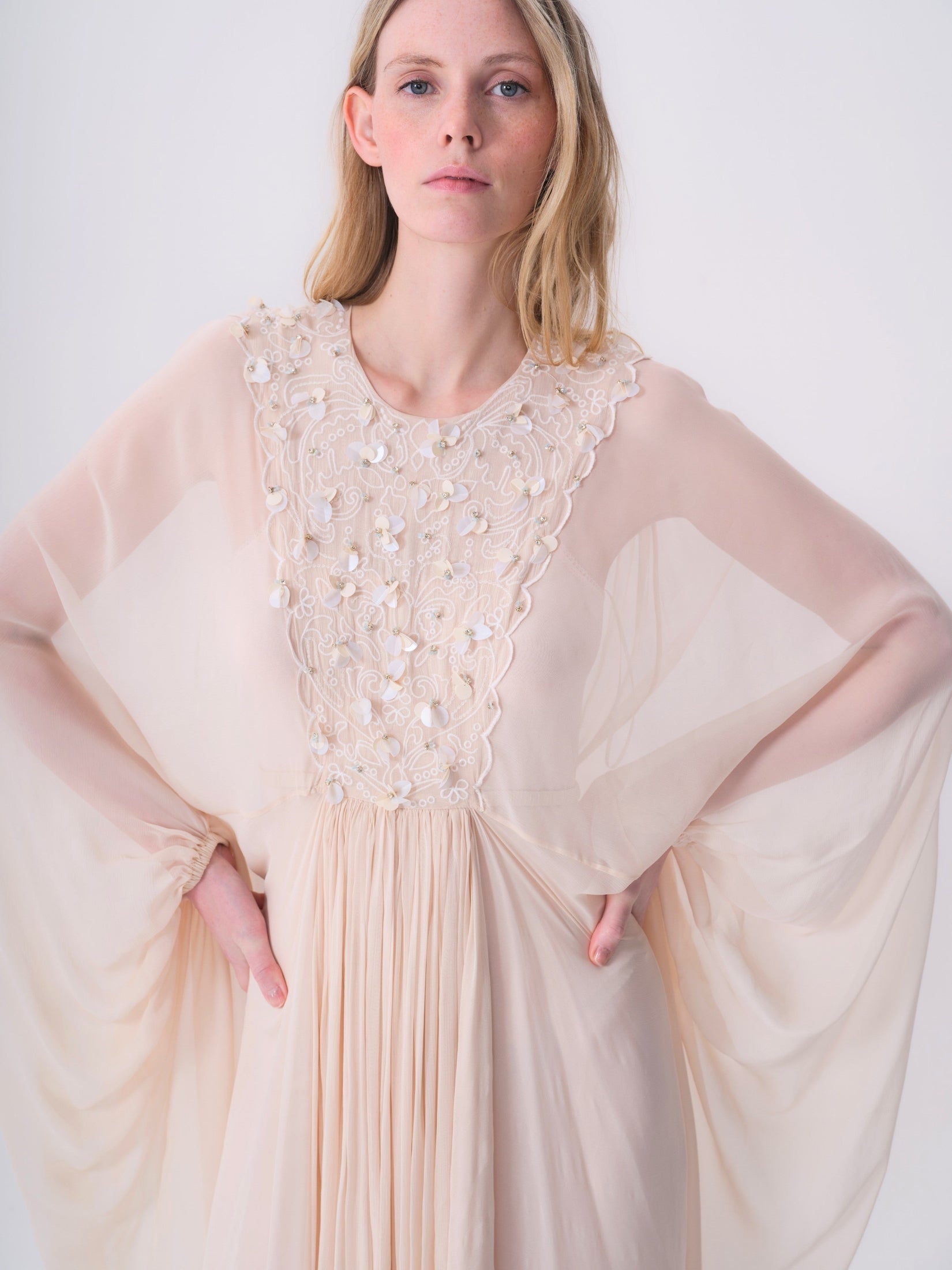 Embroidered Chiffon Dress