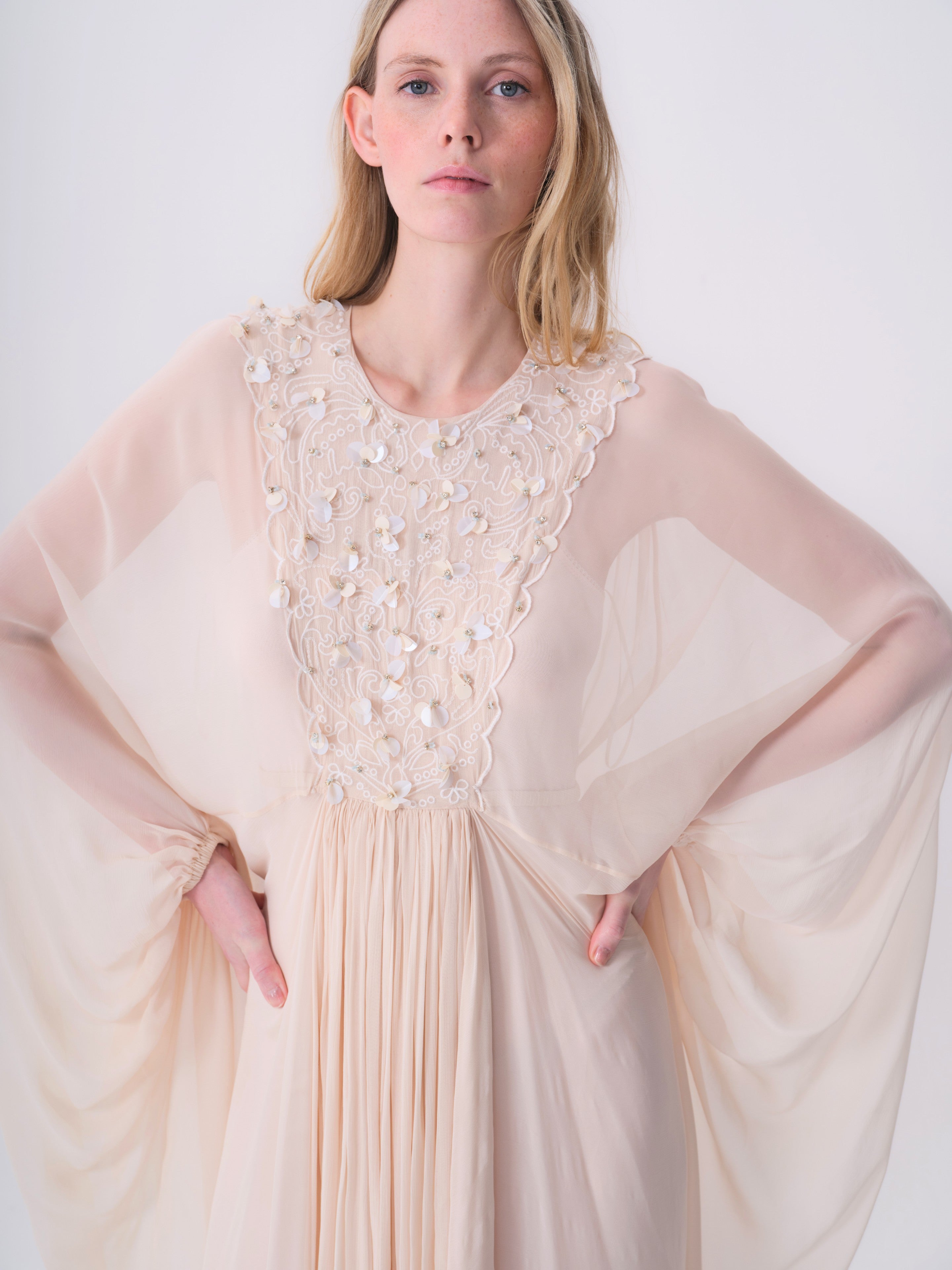 Embroidered Chiffon Dress