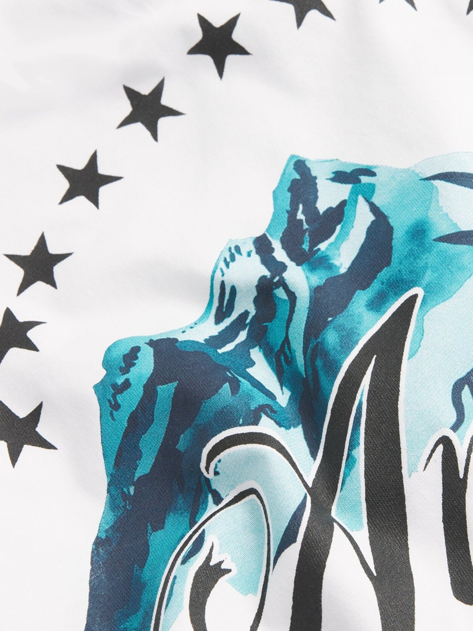 Amiri mountain tee