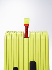 Buscar acid lime cabin bag