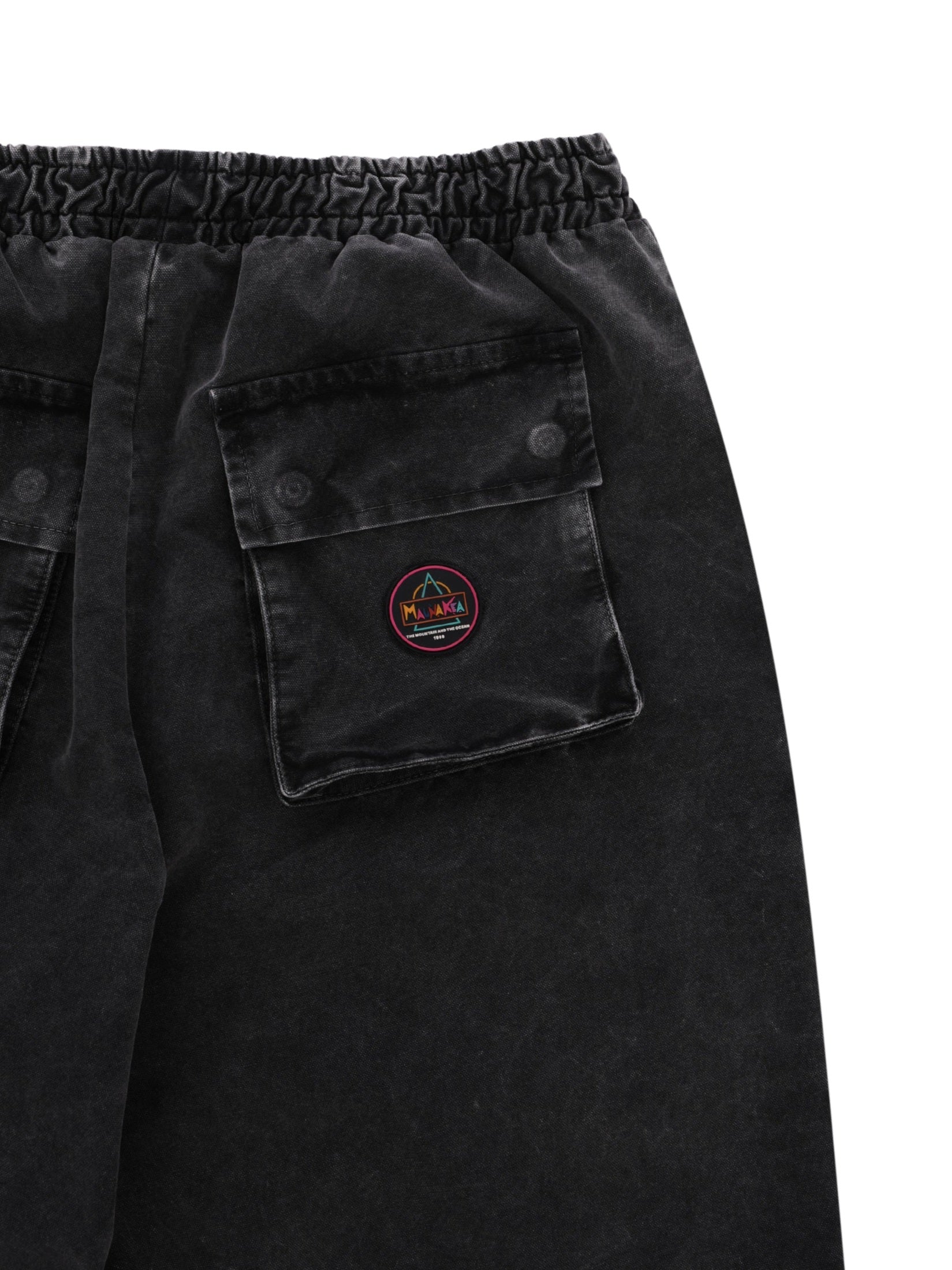 Cotton canvas jogger pant