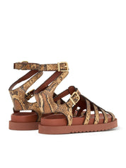 Goldie gladiator