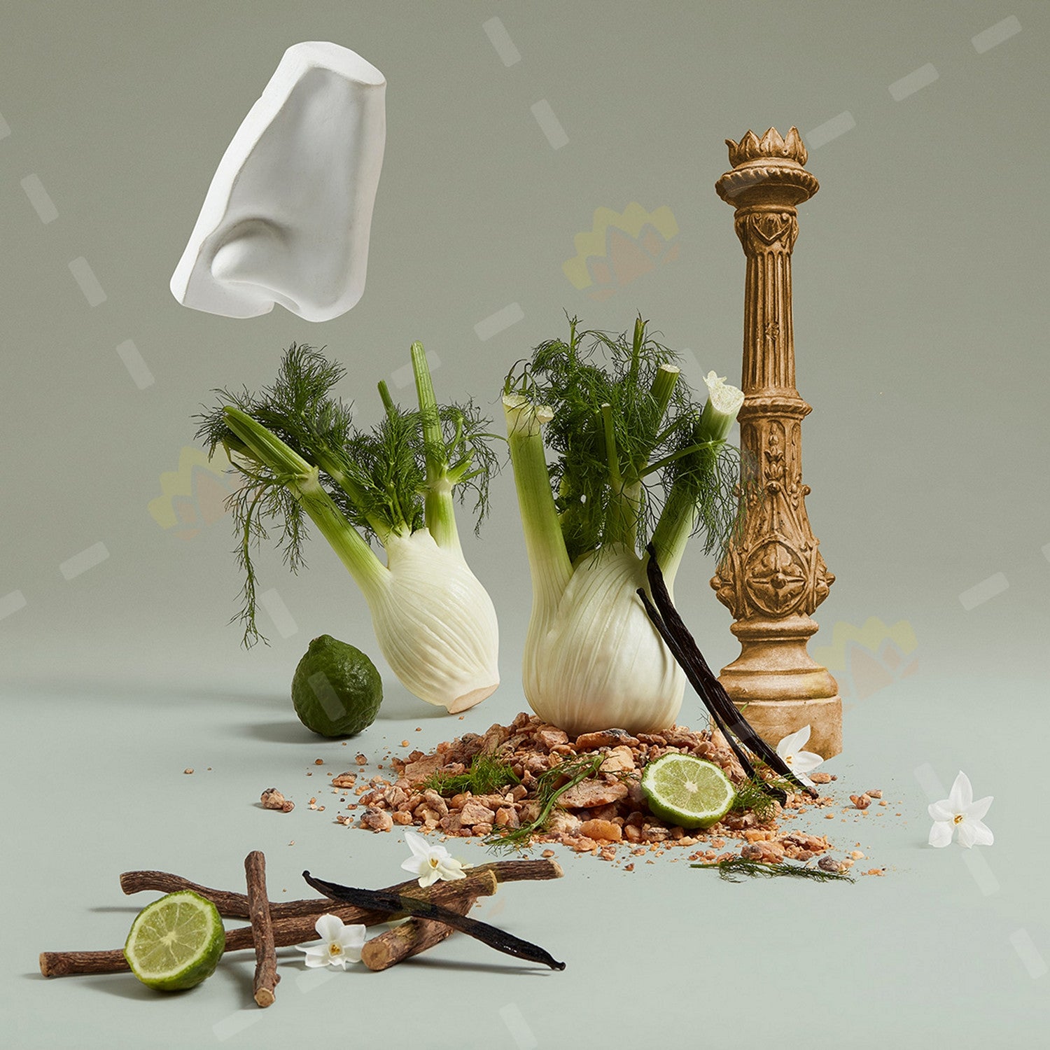 LEGACY OF PETRA EDP 100ML