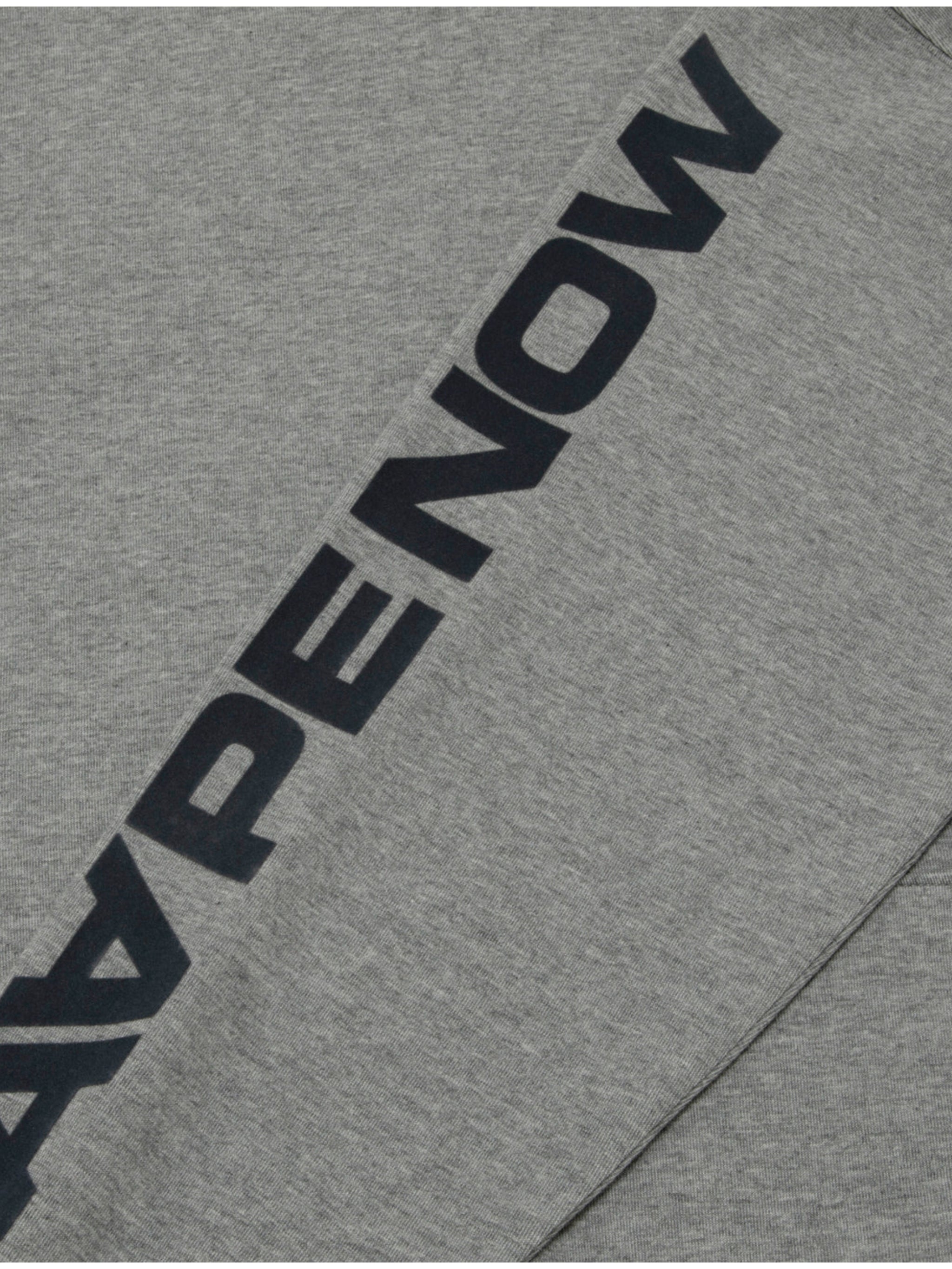 AAPE CLOVER AAPE NOW HOODIE