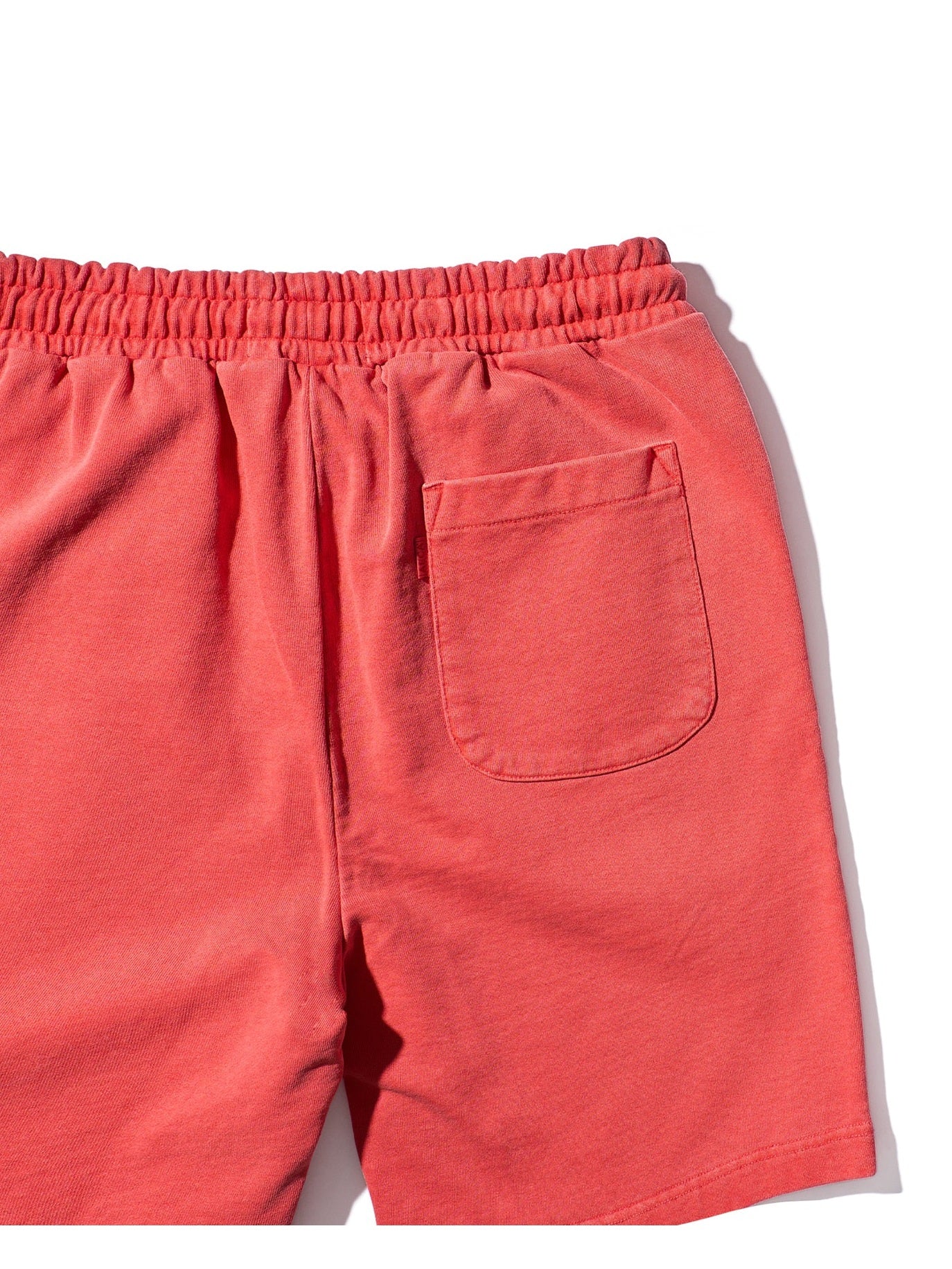 Aeca on the coast sweat shorts-washed coral