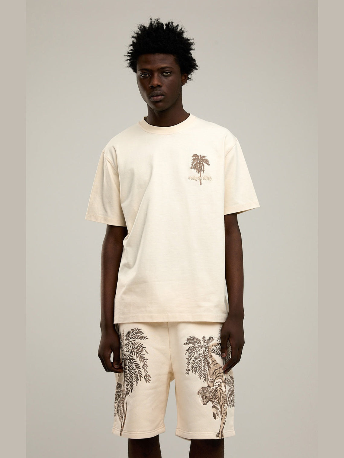 Sandstorm tiger t-shirt
