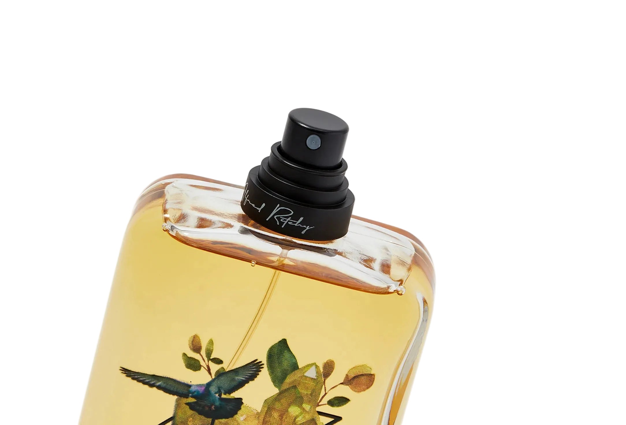 Alfred ritchy nolo edp 100ml