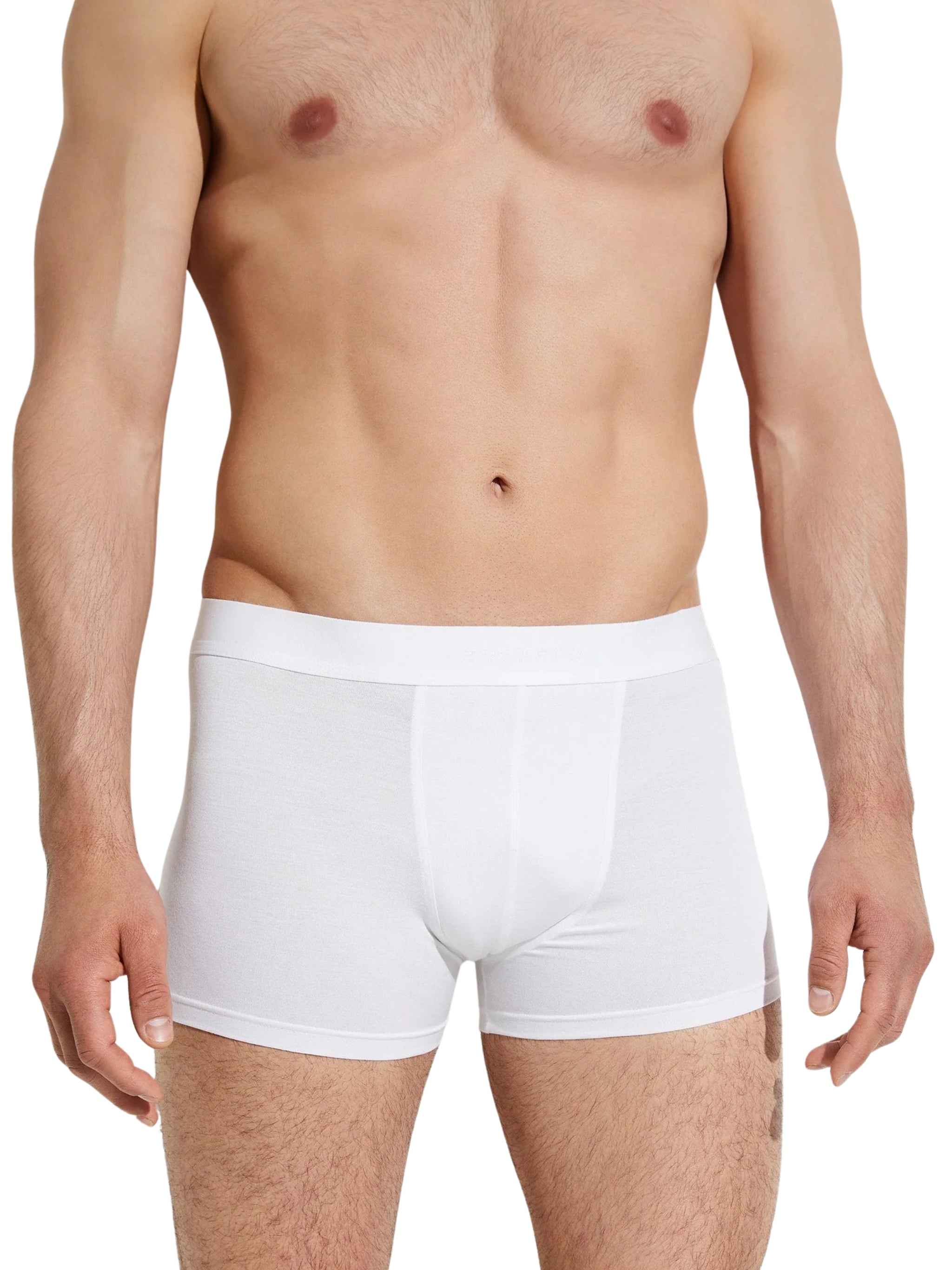 Pureness Boxer Briefs / Trunk