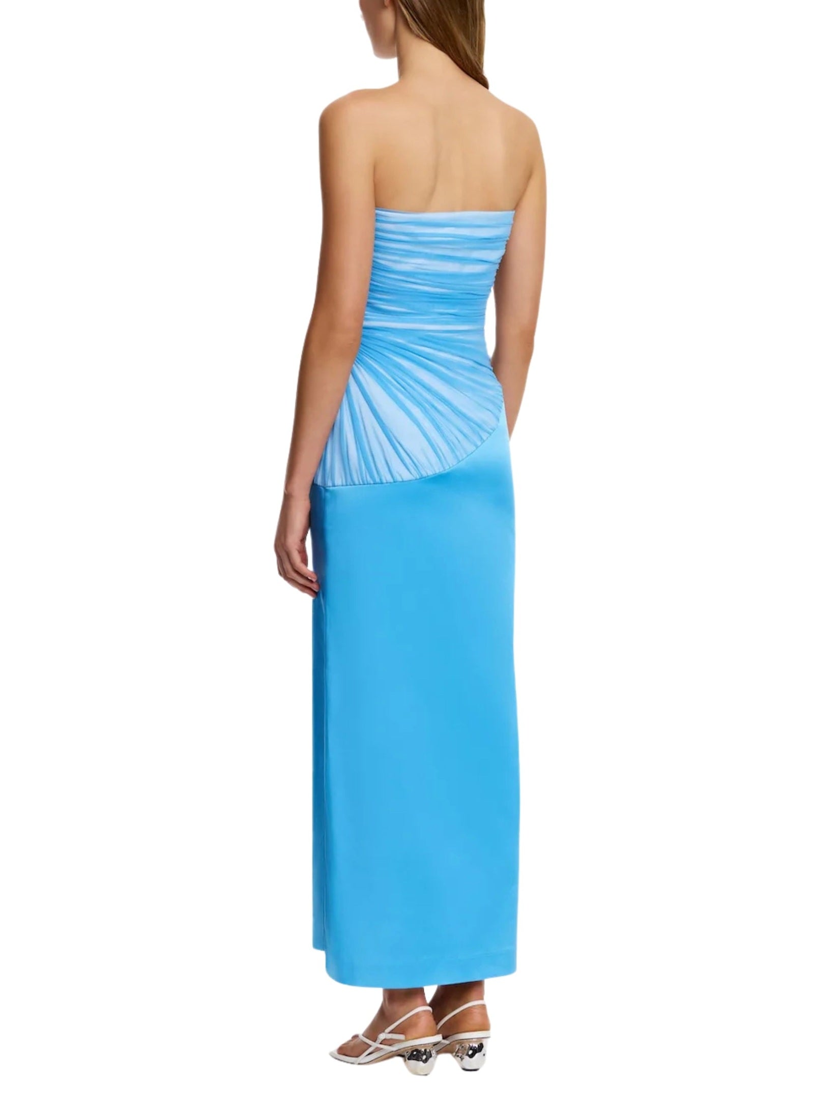 Aryn strapless maxi dress