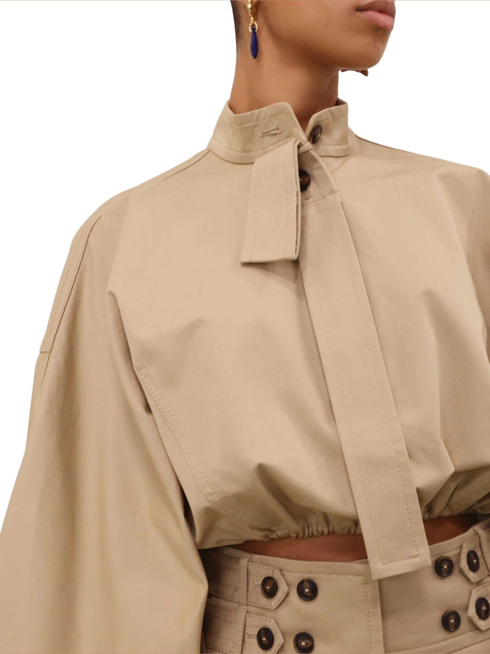 Rebellion drawn top