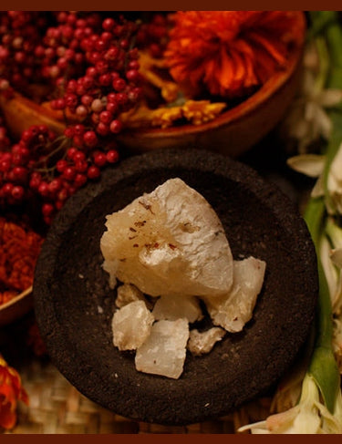 8.-florycanto1.jpg