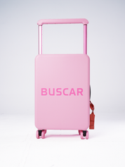 Buscar soft pink cabin bag