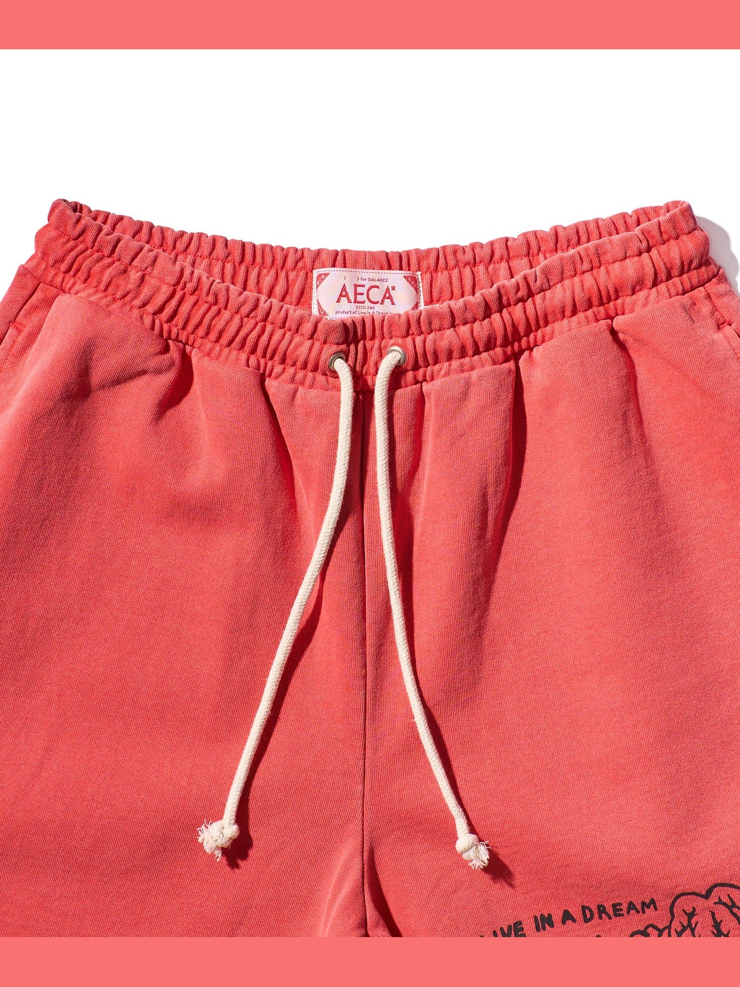 Aeca on the coast sweat shorts-washed coral