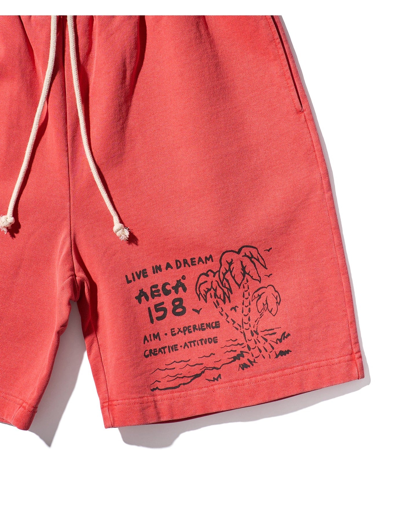 Aeca on the coast sweat shorts-washed coral