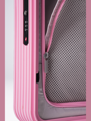 Buscar soft pink cabin bag