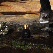El edp 100ml jwr