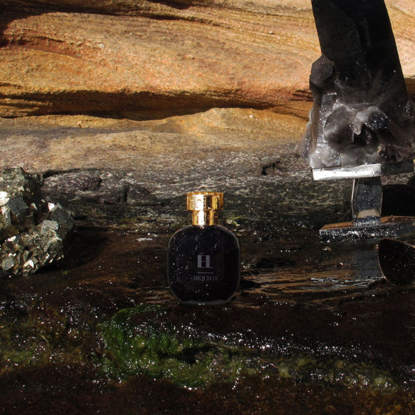 El edp 100ml jwr