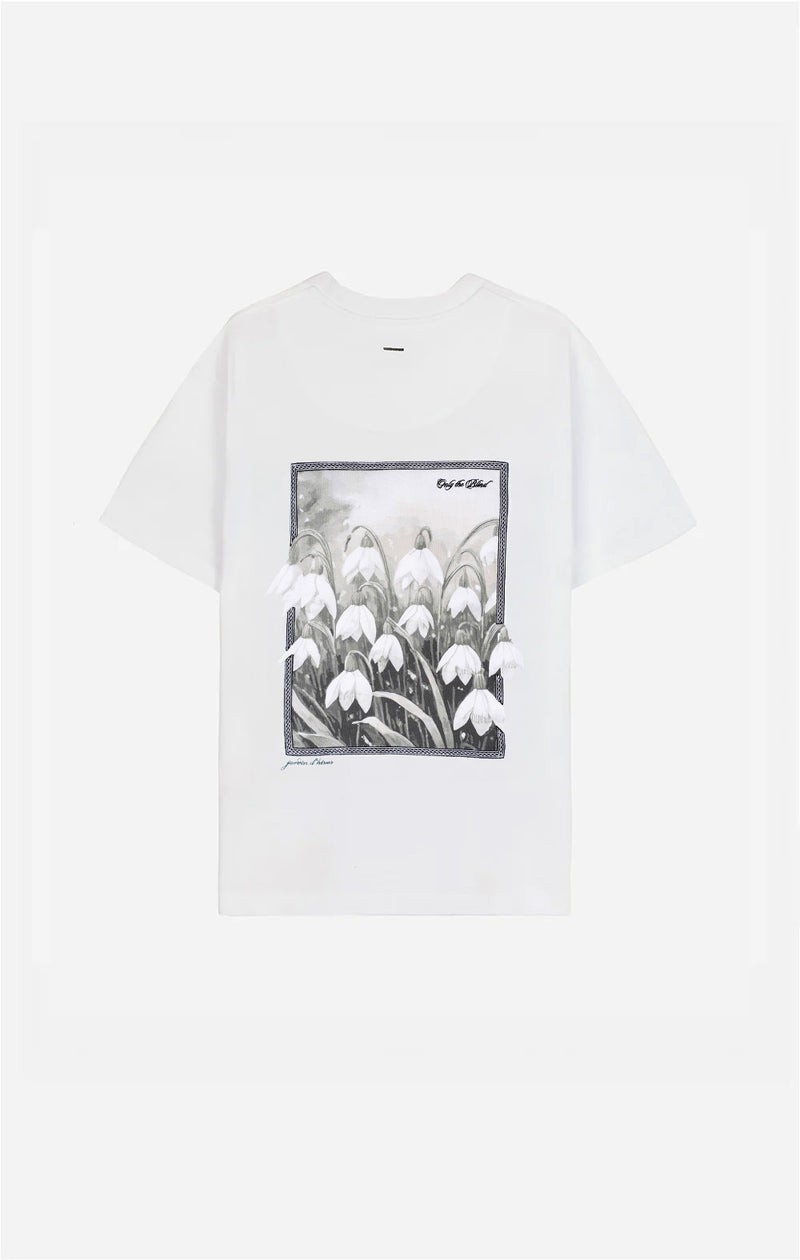 FROSTED BLOSSOM T-SHIRT