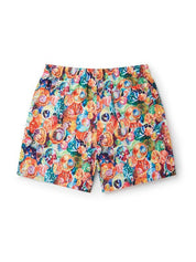 Funghi