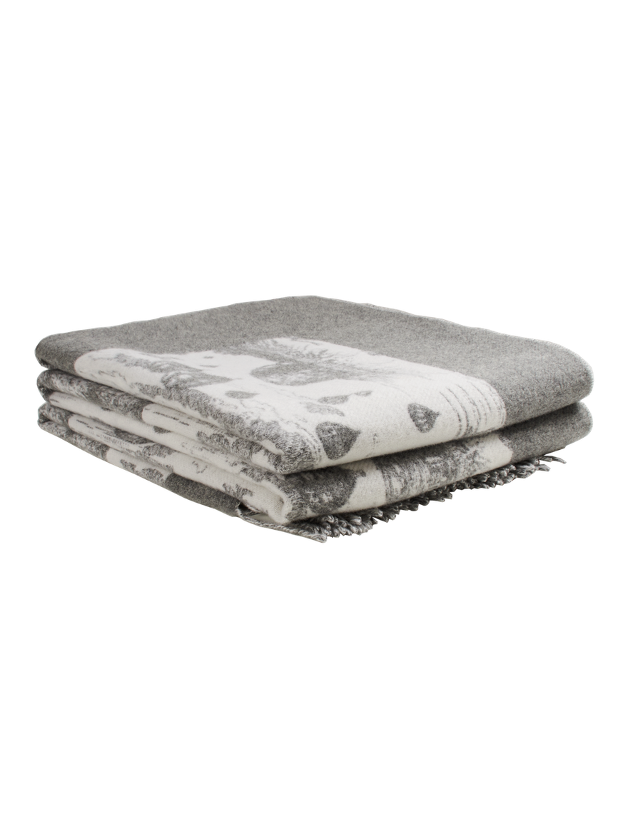Blanket2.PT03.png