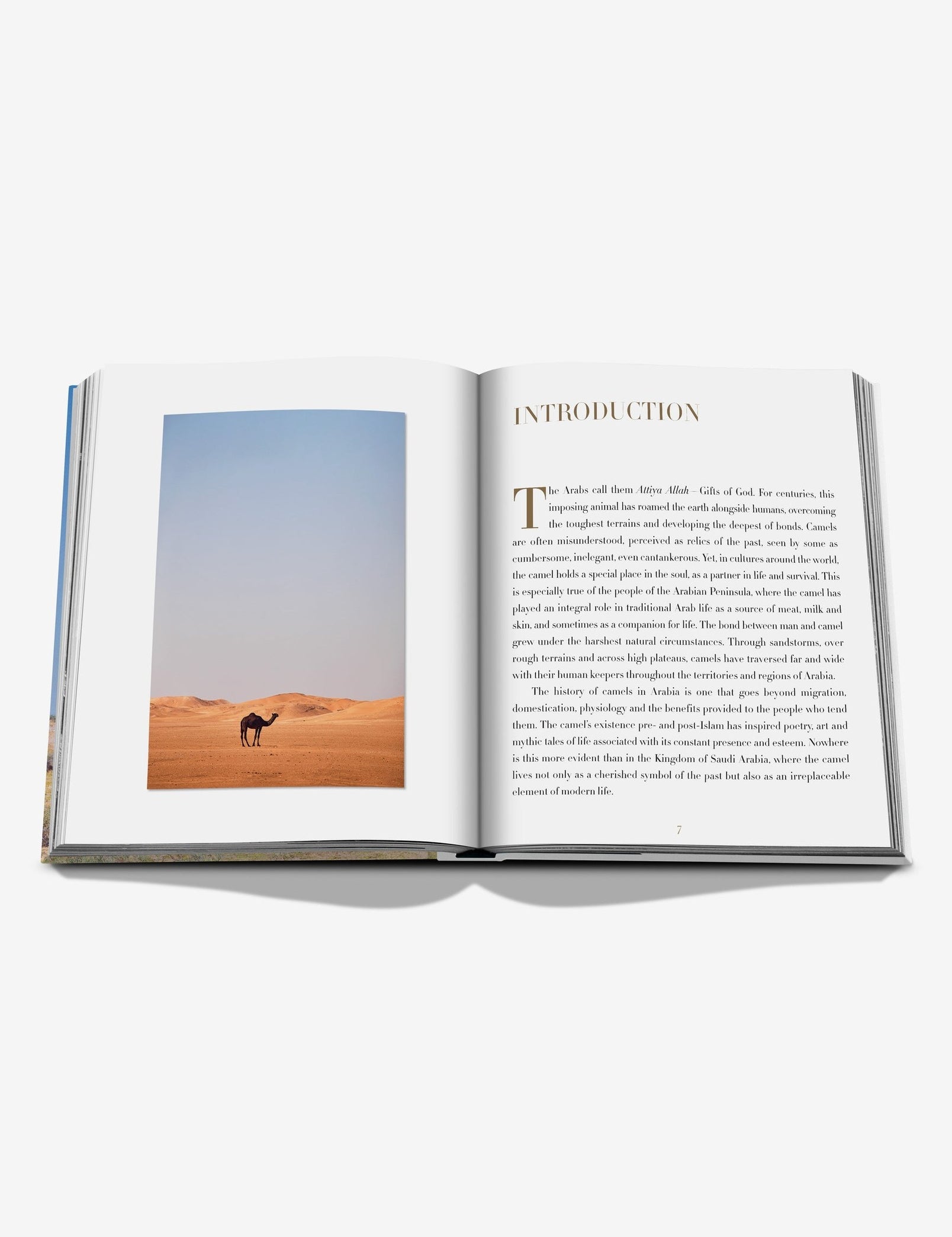 CAMELS_SPREADS-1.jpg