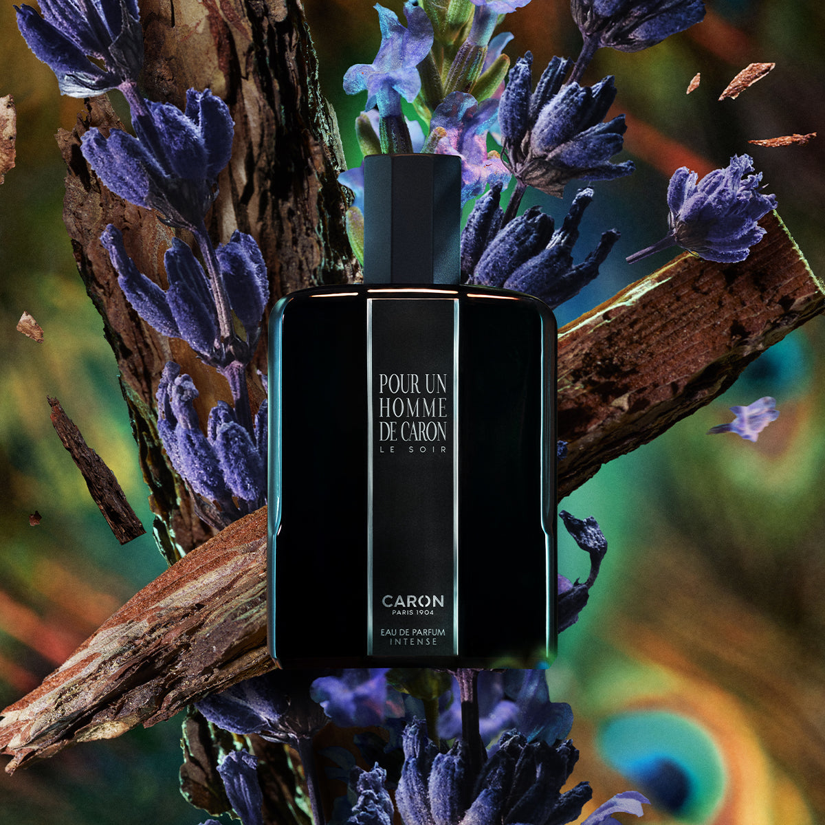 Pour Un Homme de CARON Le Soir عطر 