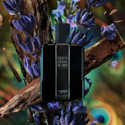 Pour Un Homme de CARON Le Soir عطر 