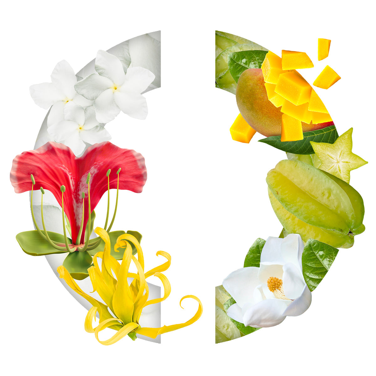 Belle de Niassa Eau de Parfum