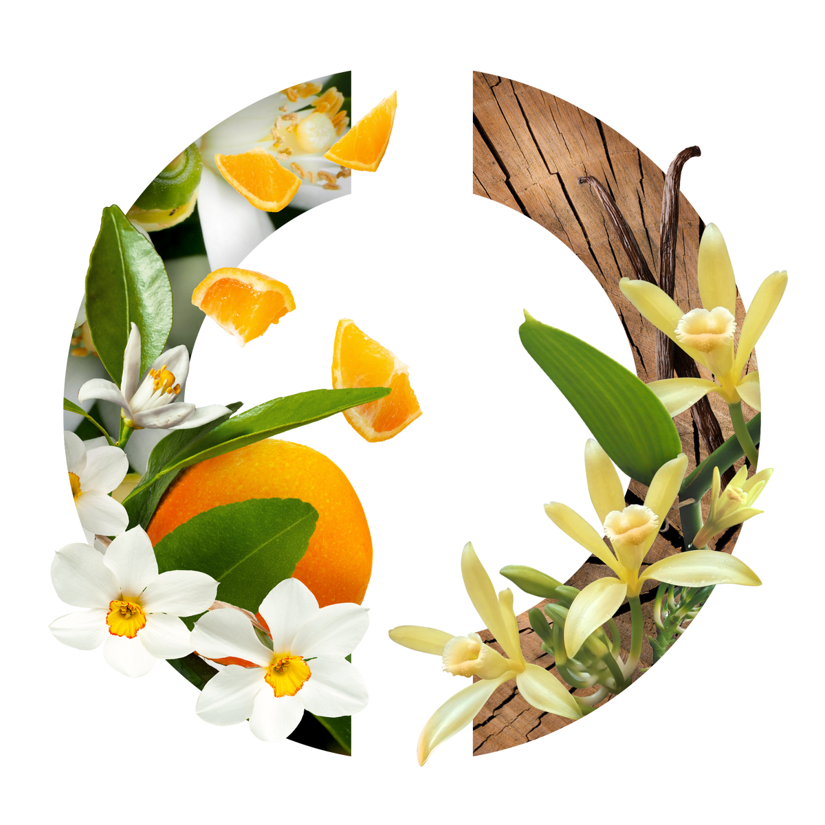 White Flowers Narcisse Blanc Eau de Parfum