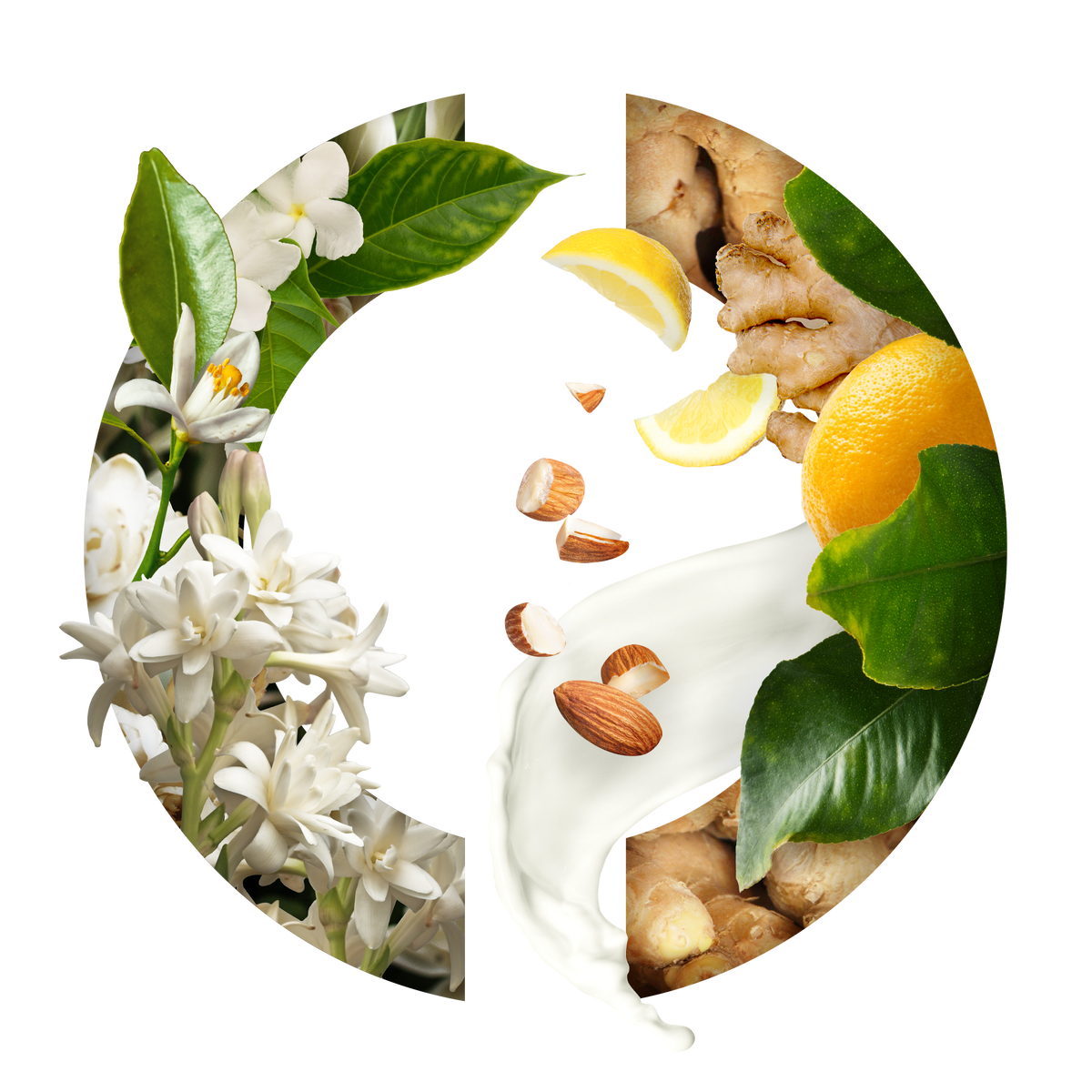 Fruity Florals Tubéreuse Merveilleuse