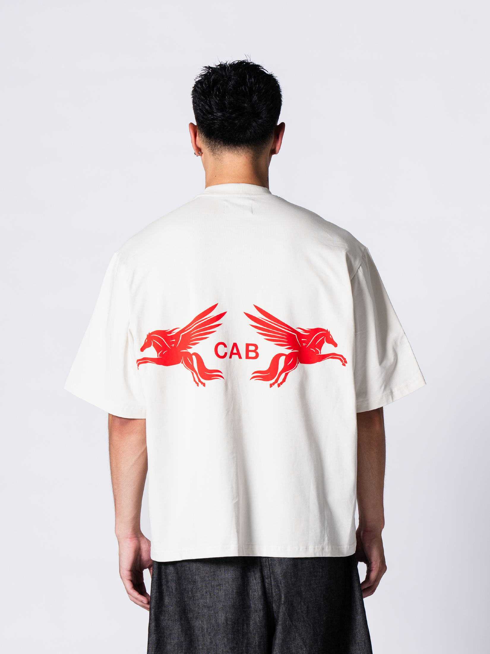 Cabinet noir pegasus tee