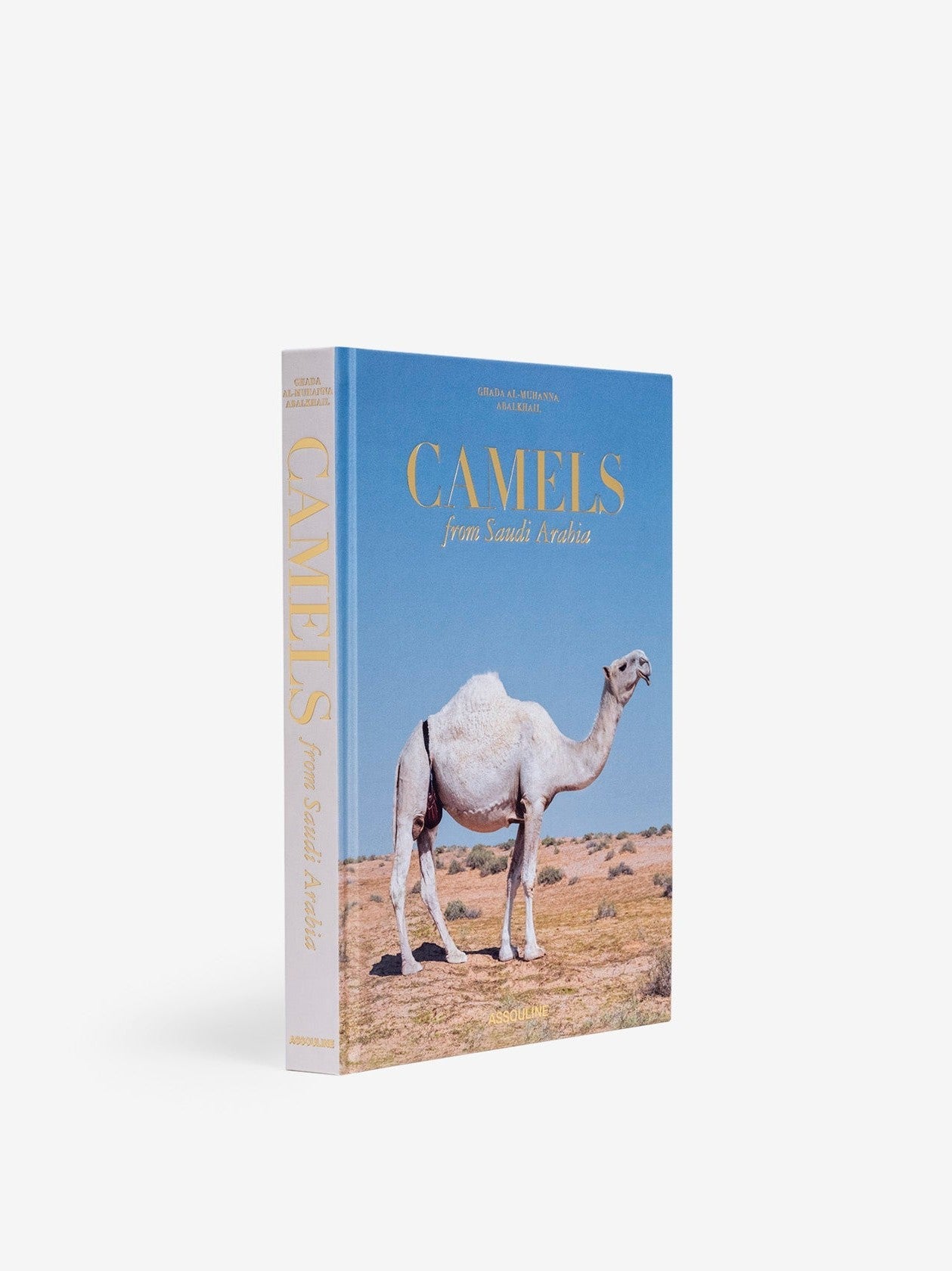 Camels from saudi arabia (classic)