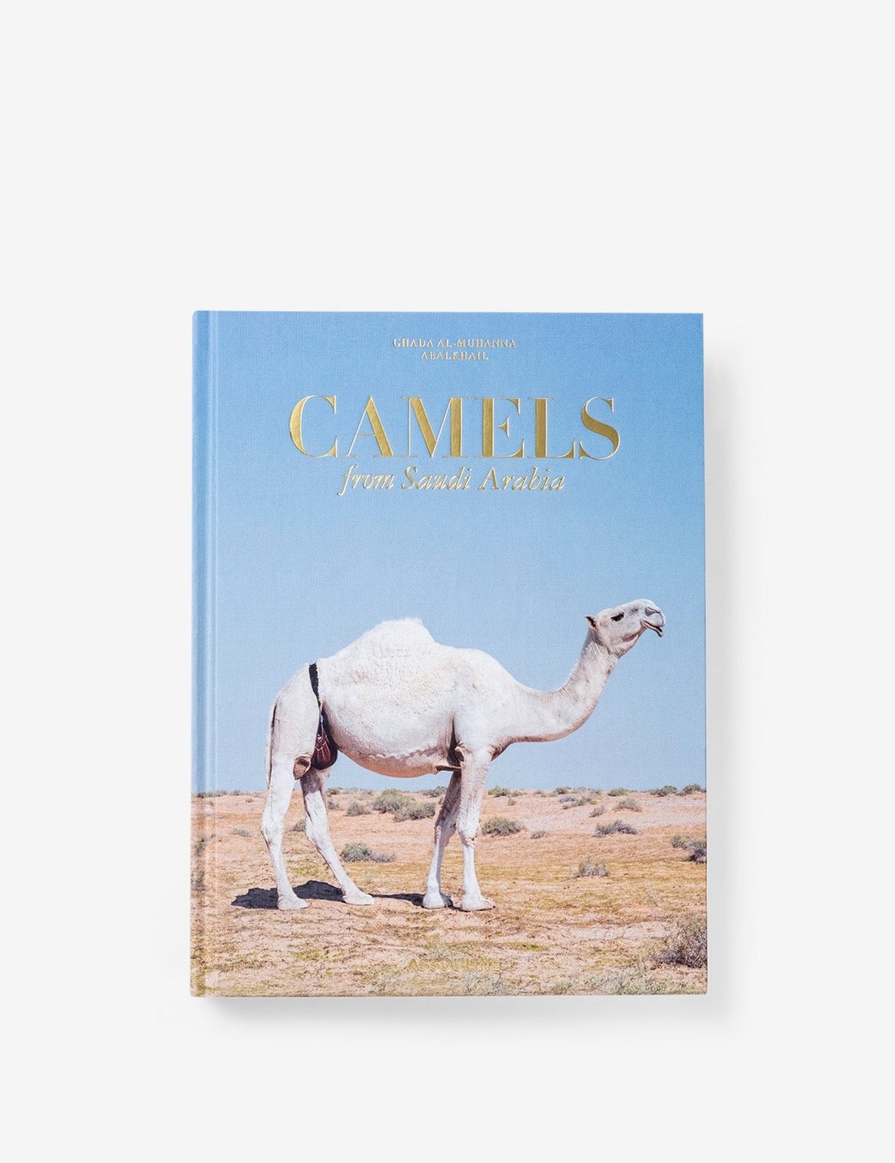 Camels-from-Saudi-Arabia-Classic_03.jpg