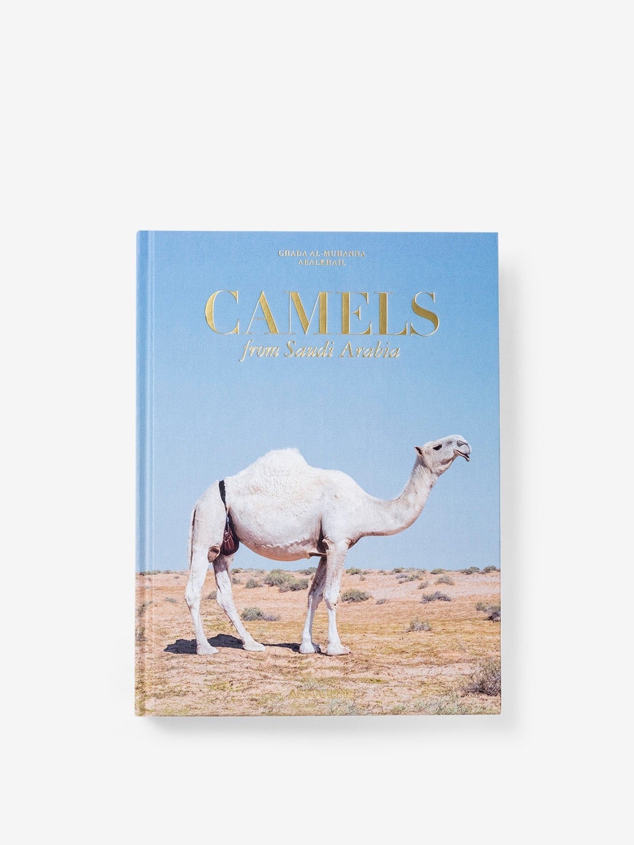 Camels from saudi arabia (classic)