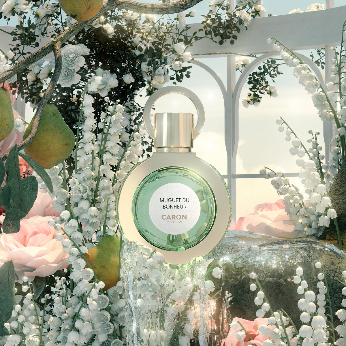 Muguet du bonheur