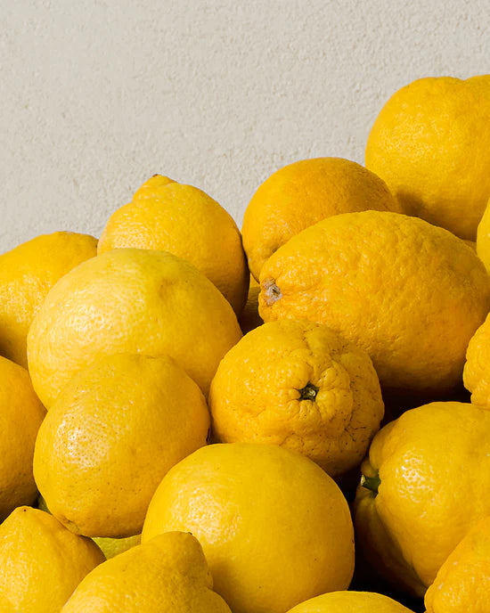 MR Cologne Cédrat 100ML EDP